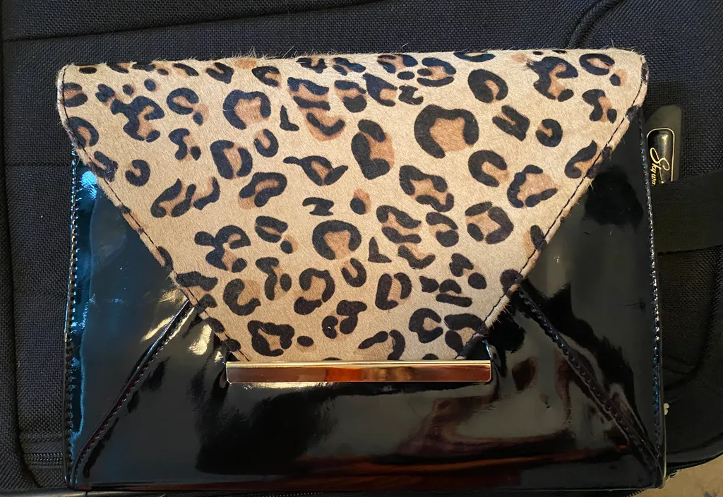 Aldo Clutch photo 1