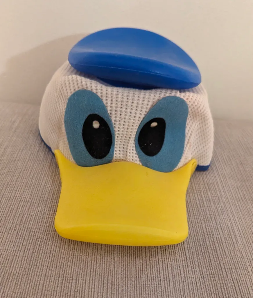 Donald Duck Hat  photo 1