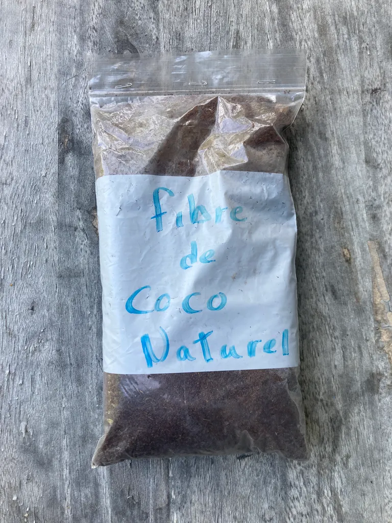 Natural coconut husks 🌴 photo 1