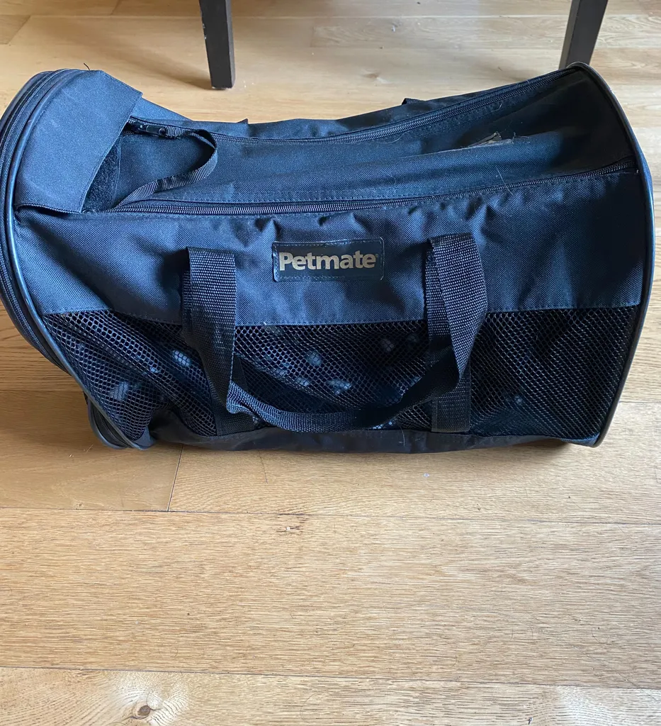Petmate animal carrier 19”x11”x12” photo 1