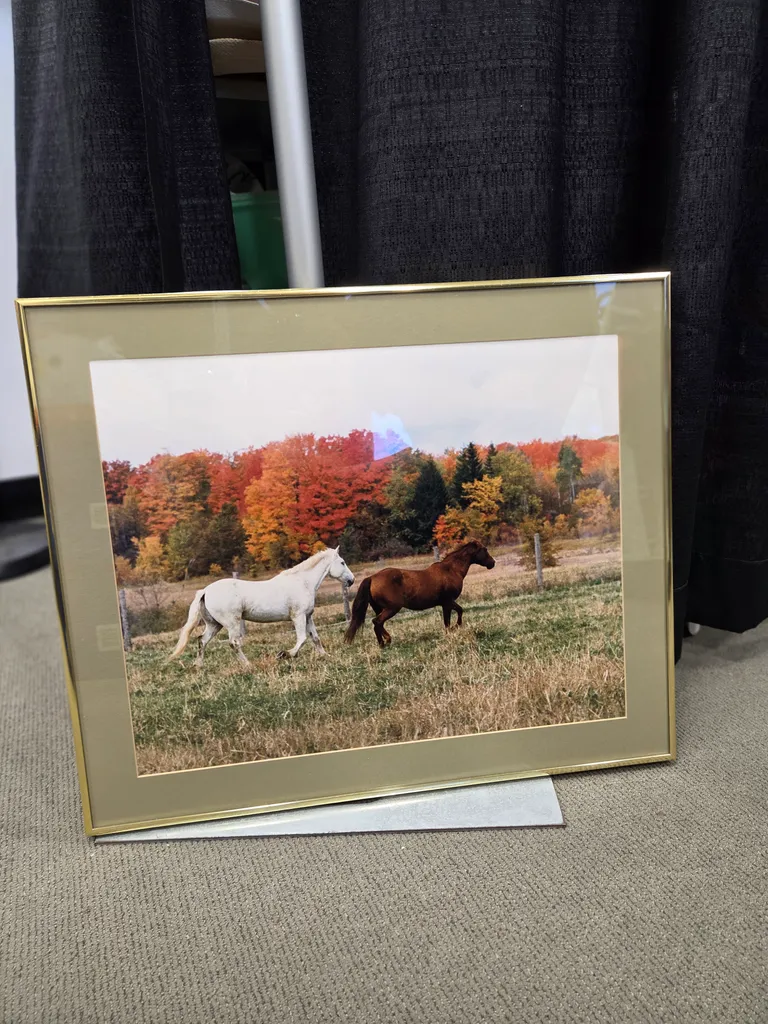 Vintage Horse picture in gold frame photo 1