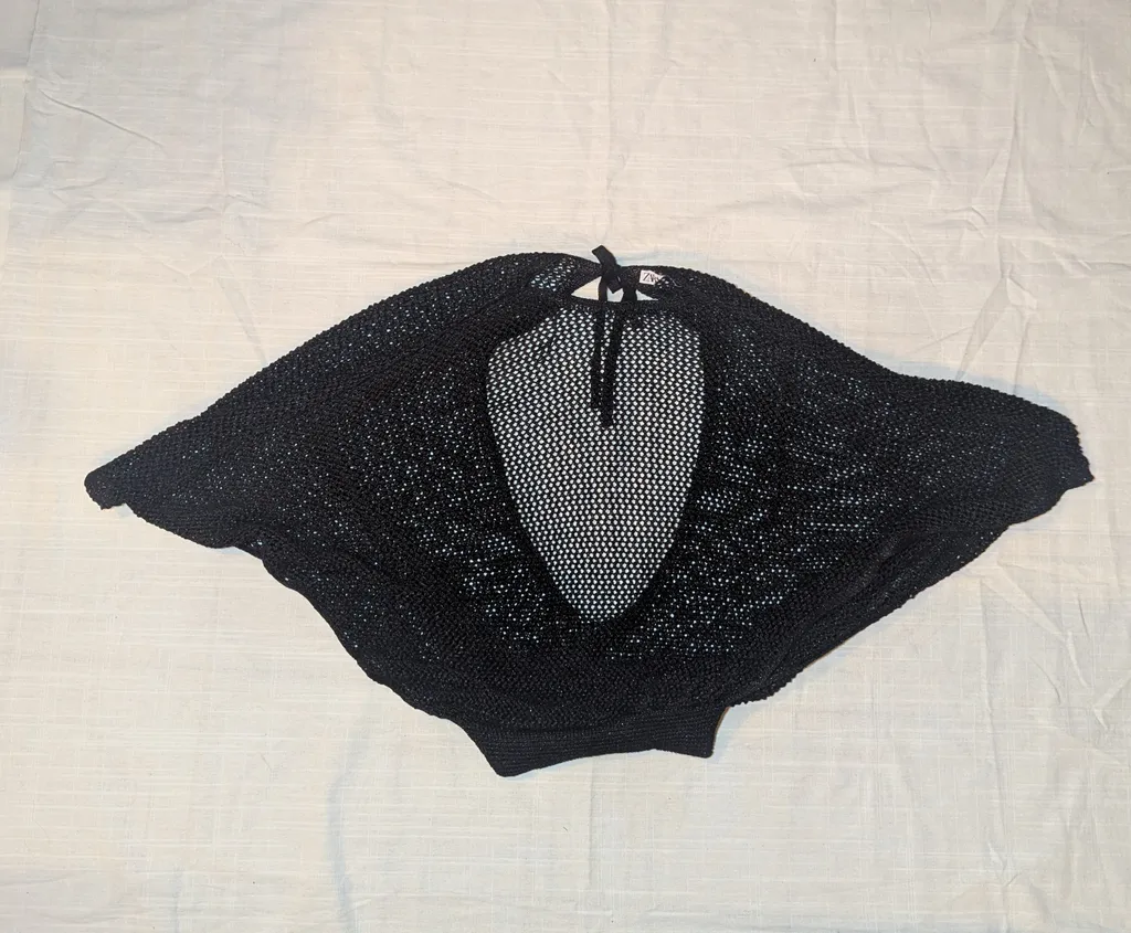 Zara mesh top  photo 1