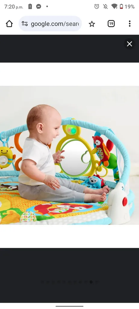 Skip Hop Explore and More Amazing Arch Activity Gym photo 1