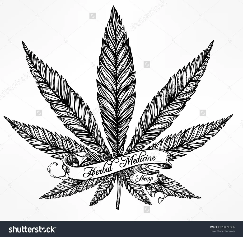 ISO - 510 cartridges photo 1