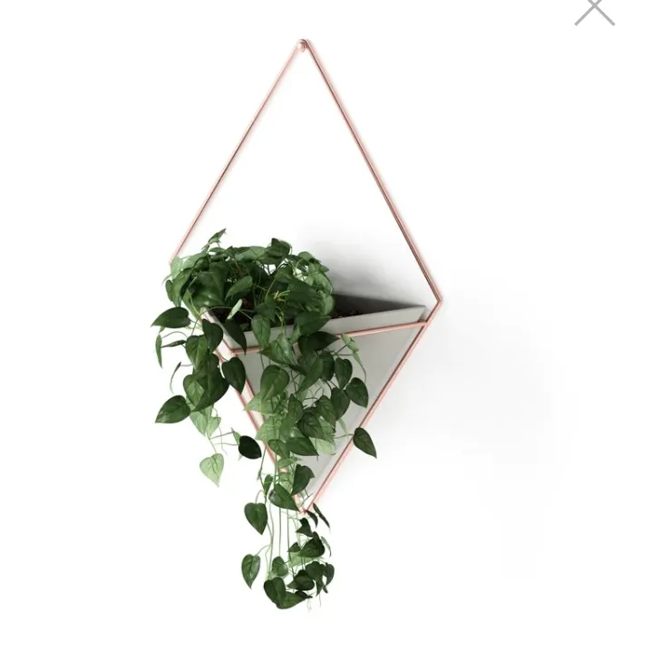 *pending* Umbra wall planter  photo 1