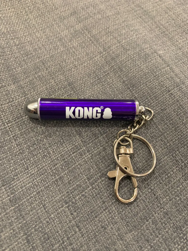 Cat laser pointer photo 1