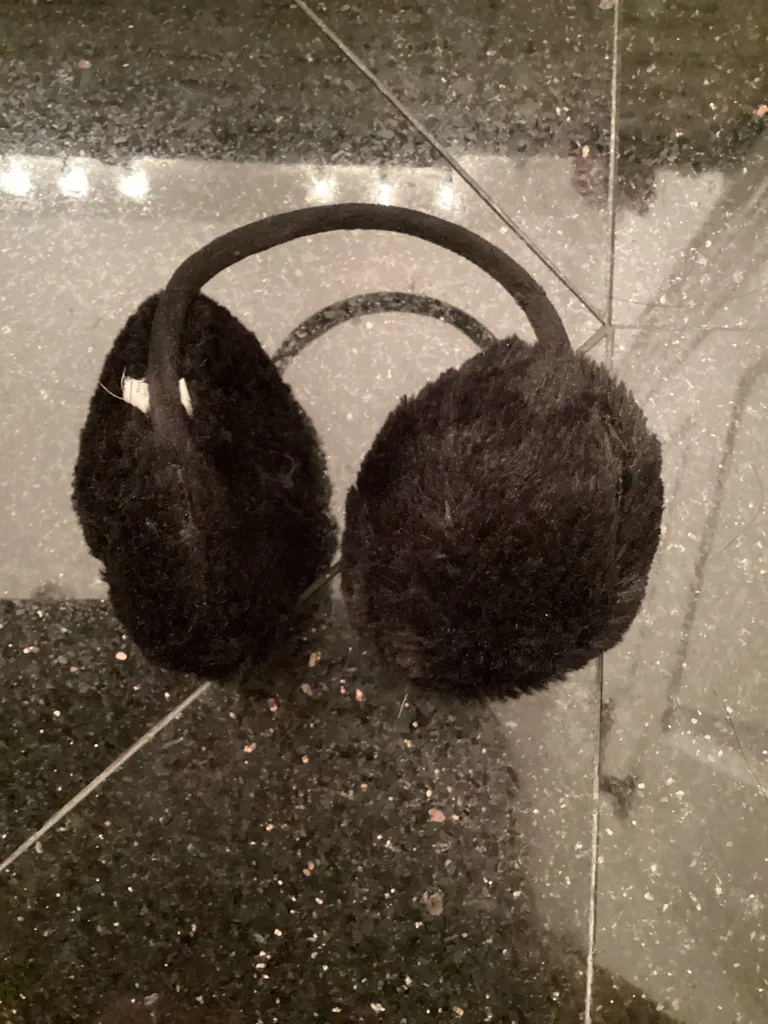 Earmuffs photo 1