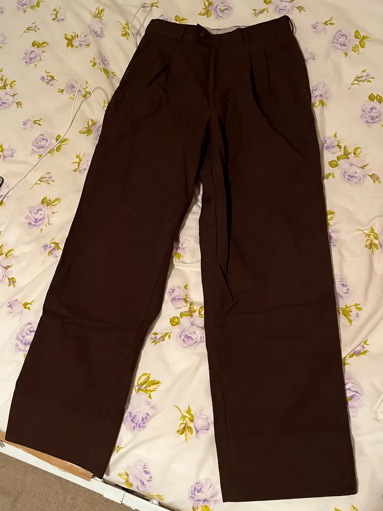 Brown Pleated Trousers photo 1