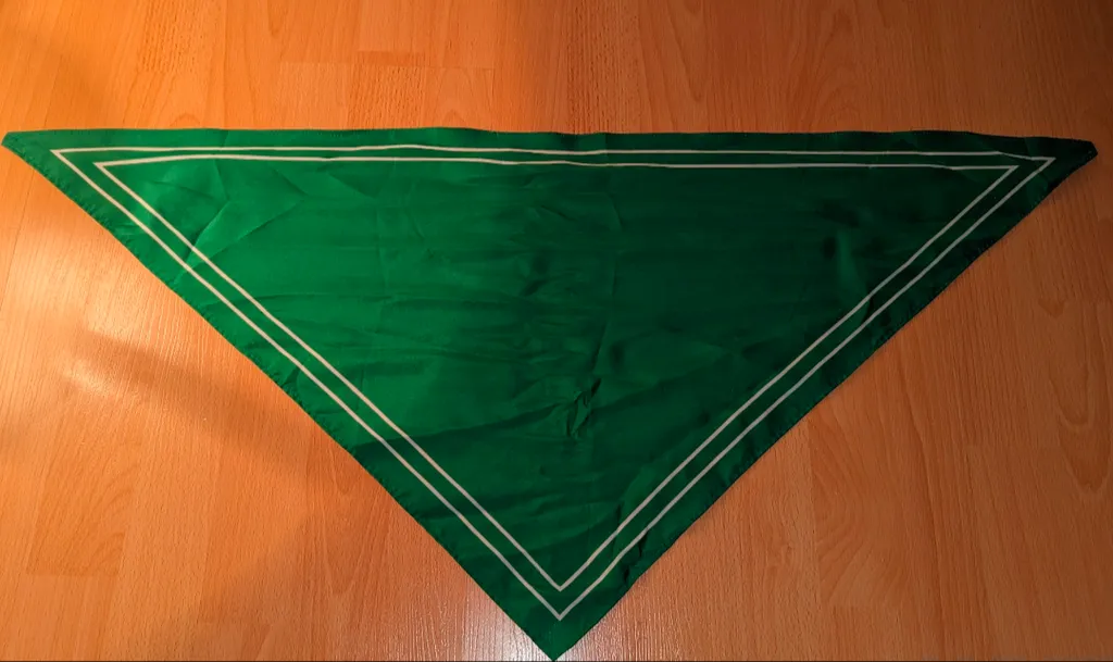 Green Bandana with White Trim photo 1