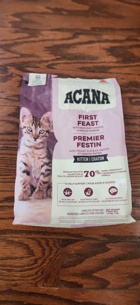 Kitten kibble photo 1