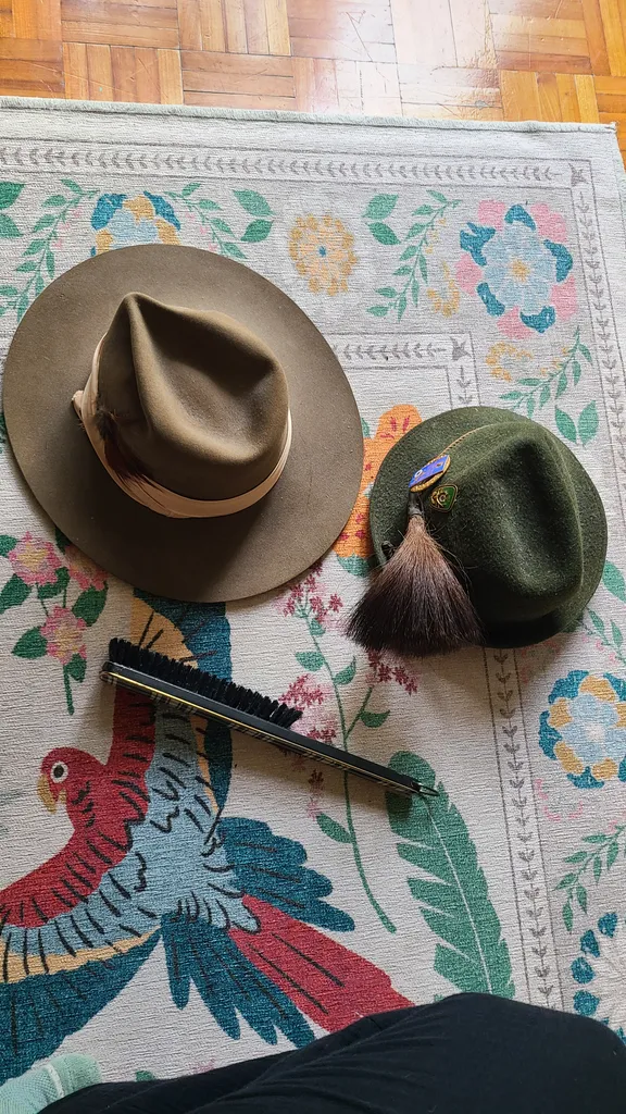 Vintage hats + hat brush photo 1