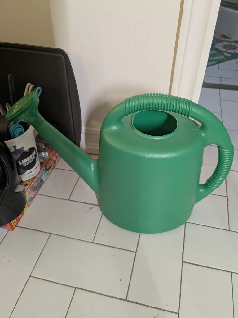 watering can photo 1