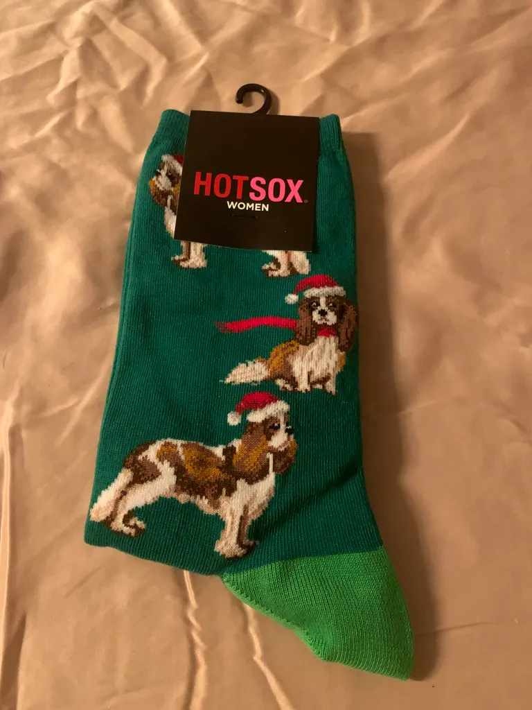 NEW Dog HotSox  photo 1