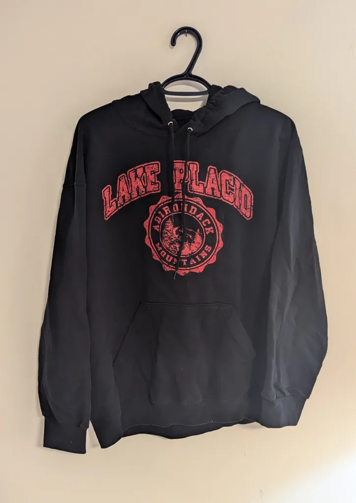 Fruit of the Loom Lake Placid Hoodie - Size Large photo 1