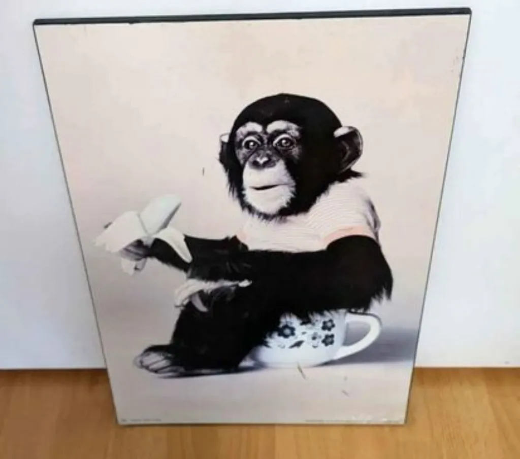 Chimpanzee Print Art photo 1