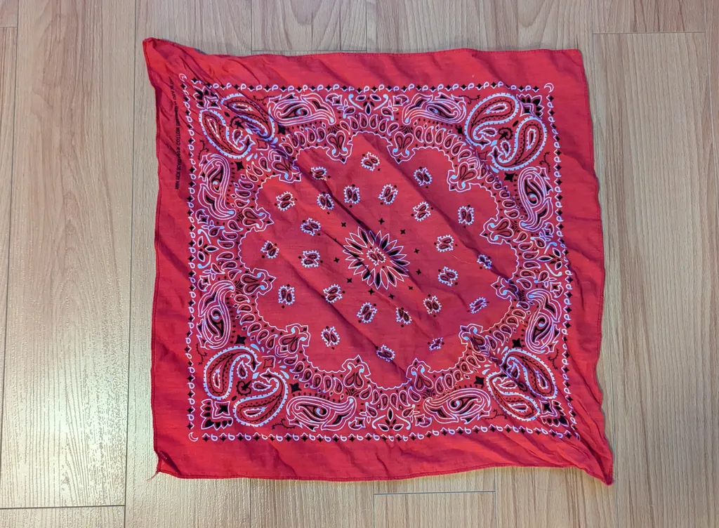 Red Bandana  photo 1