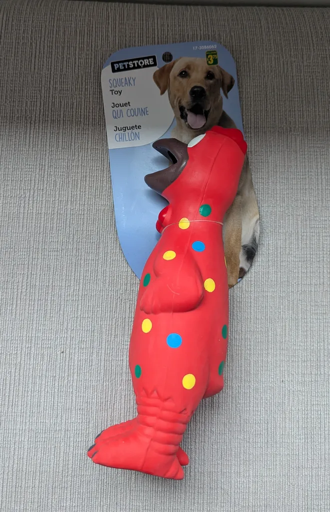 Brand New Petstore Squeaky Chicken Dog Toy photo 1