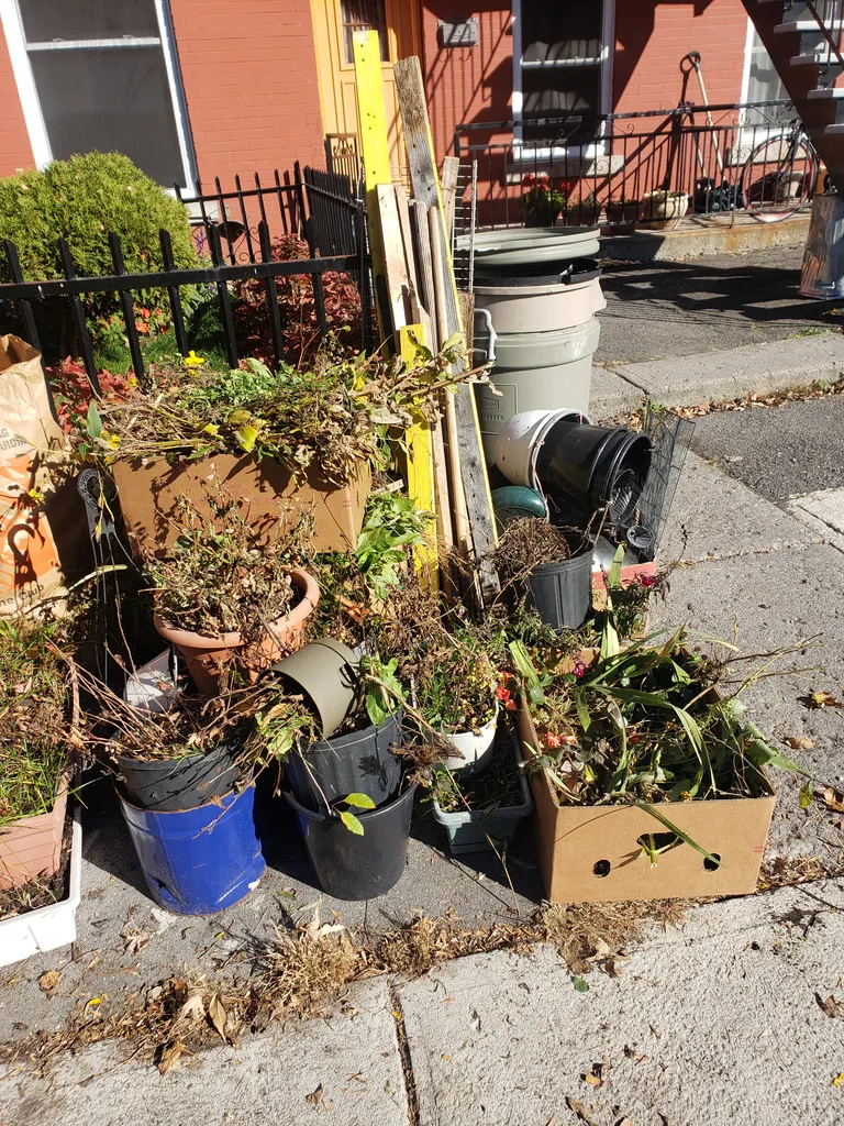 Curb alert garden stuff photo 1