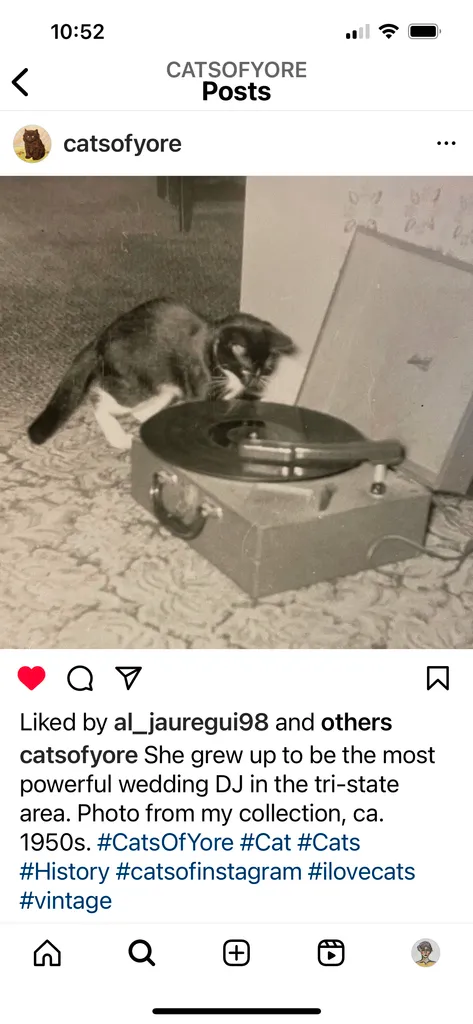 Updated ISO for 2024 photo 1