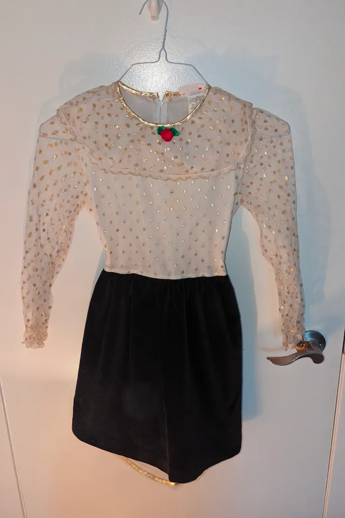 Pretty Me Dress - Youth Size 10 photo 1