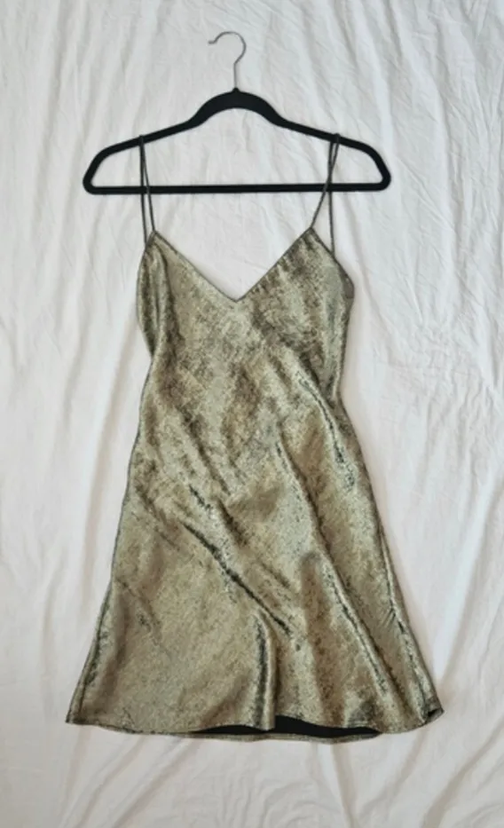 Zara Metallic Mini Dress with Open Back Size Sm photo 1