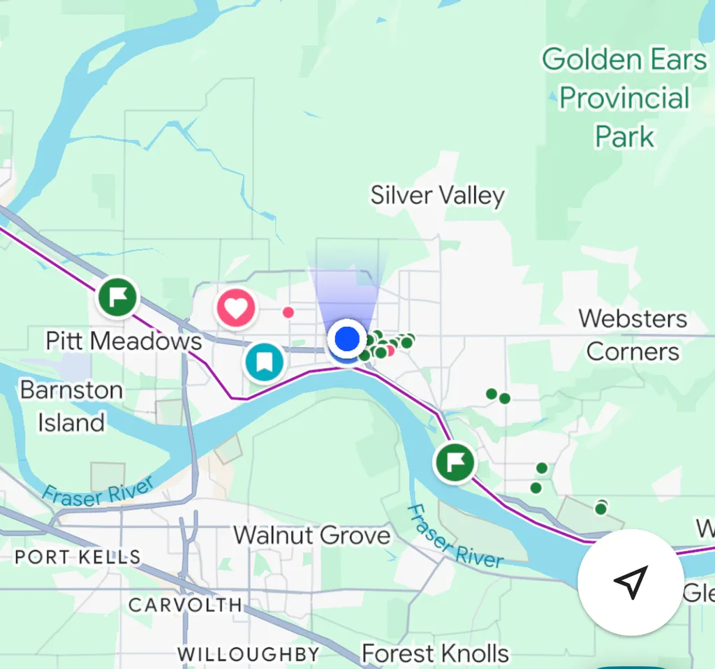 Maple Ridge, Pitt Meadows, Walnut Grove bunzers? photo 1