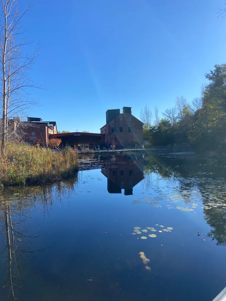 ISO: Basics!  photo 1