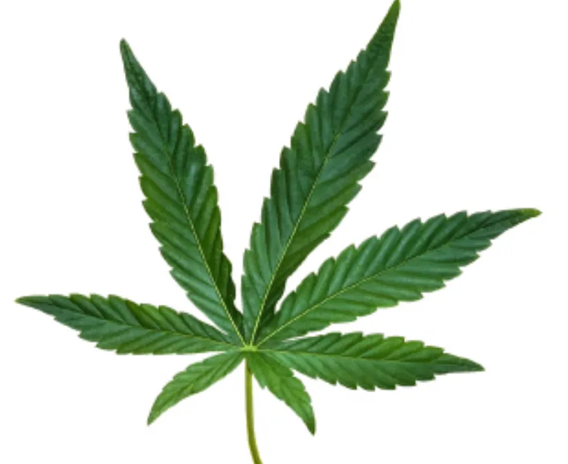 Tatoo services  photo 1