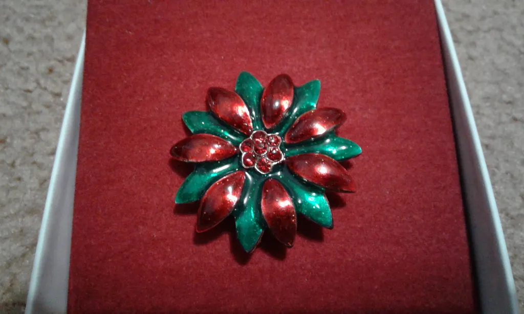BNIB Broach photo 1