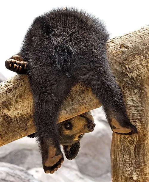 A few more ISOs  photo 1