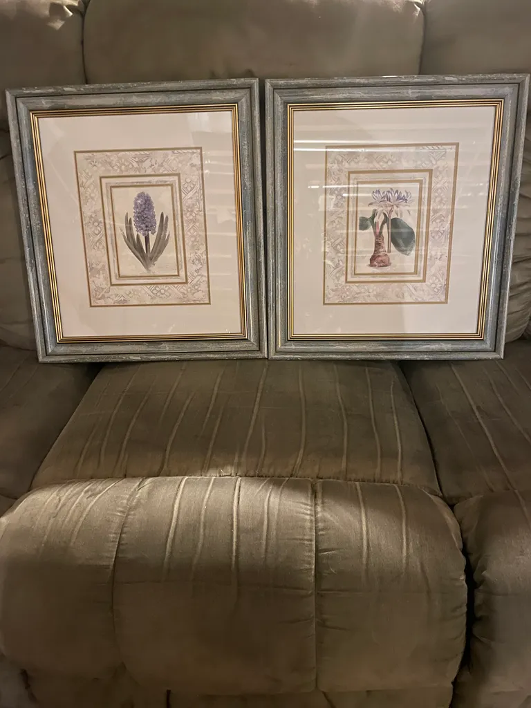 FWT framed art - floral set of 2  photo 1