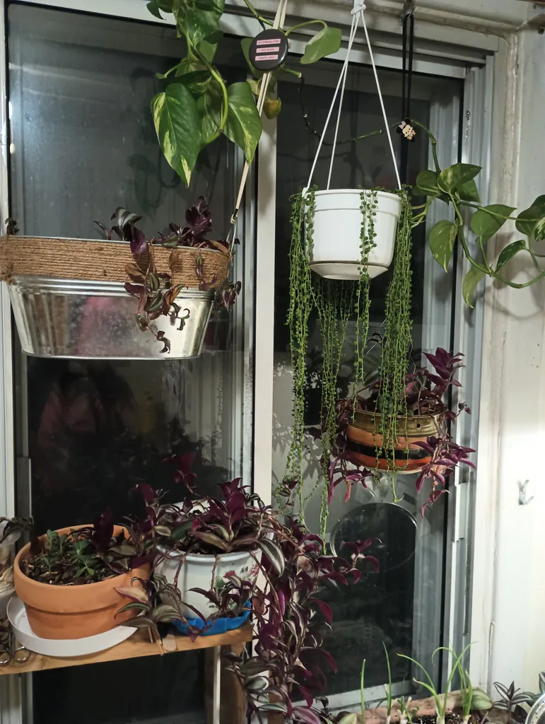 plant clippings photo 1