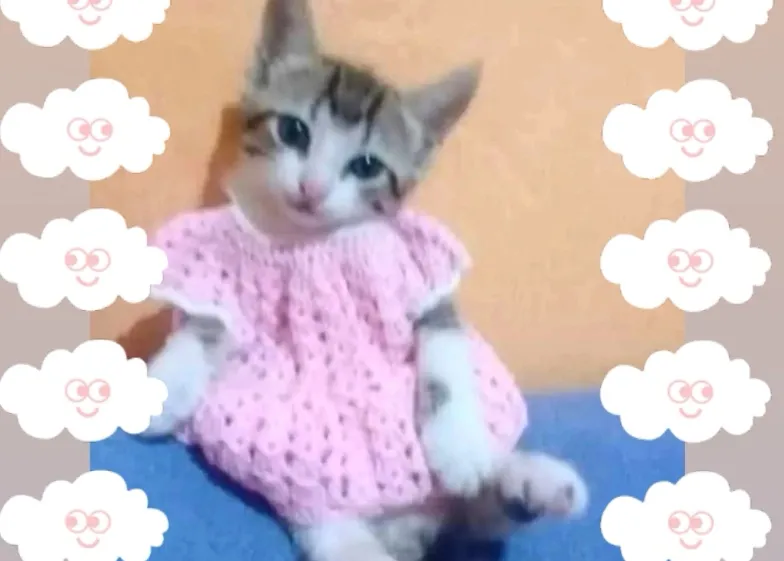 MY FULL ISO LIST!  photo 1