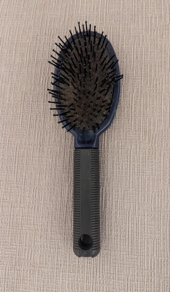 Hairbrush photo 1