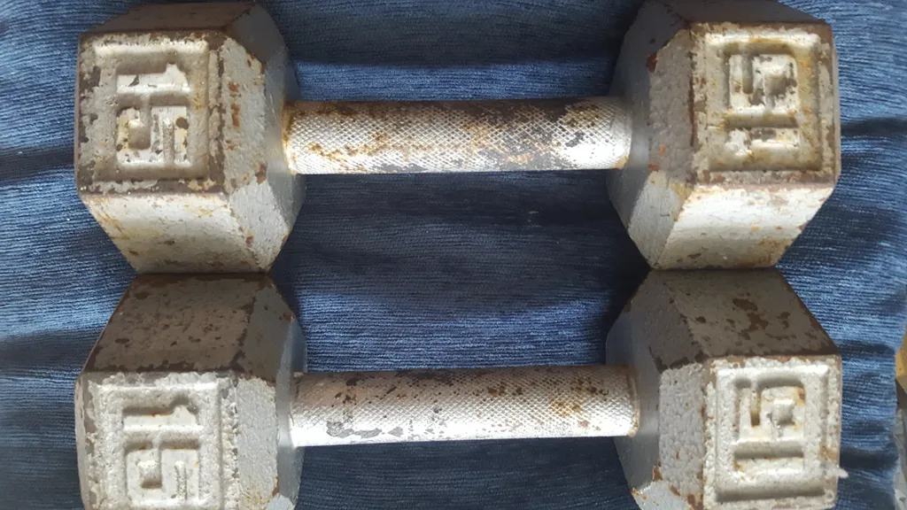 2 15 lbs cast iron dumbbells with rust photo 1