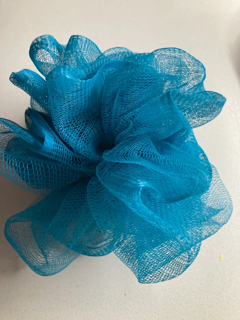 FREE Nylon Shower Scrubby  photo 1