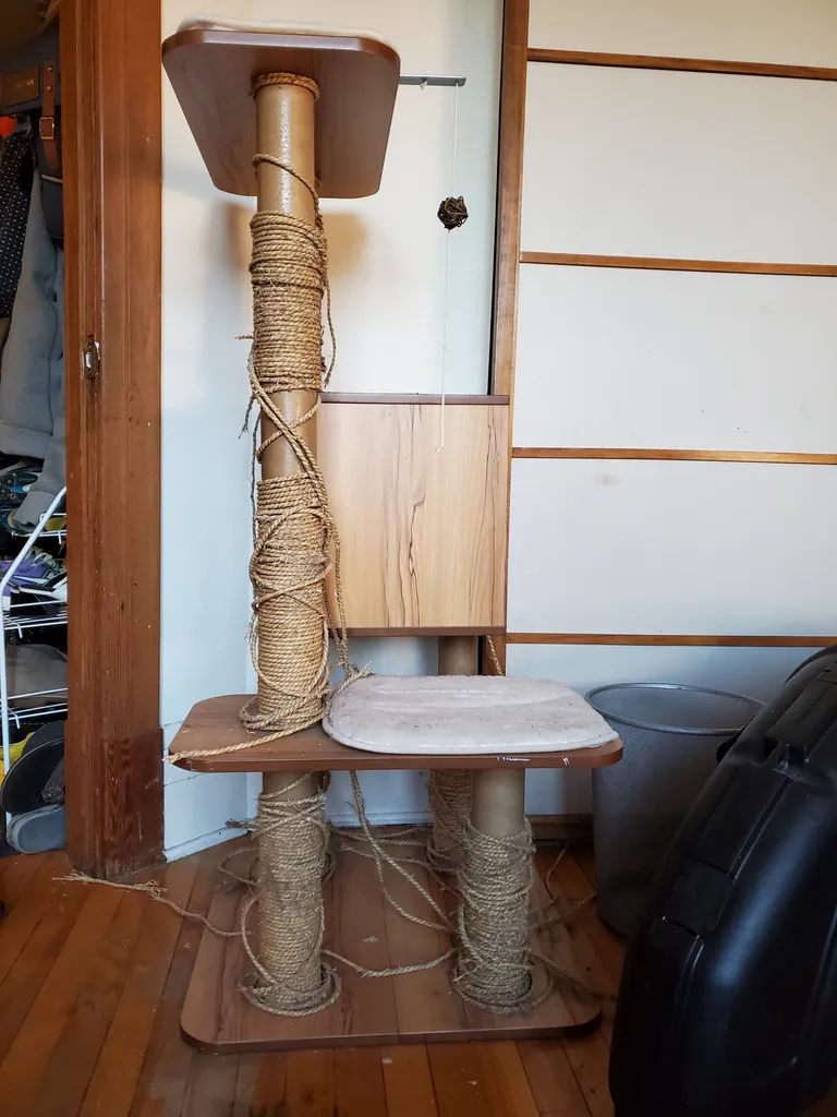 Cat tree photo 1