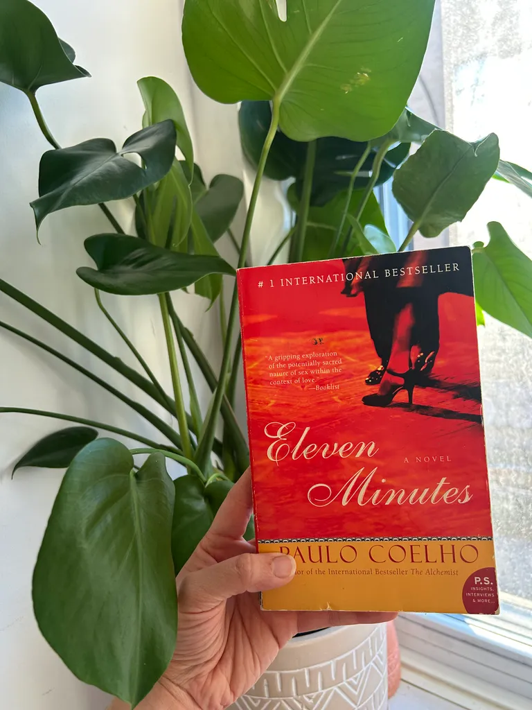 Eleven Minutes  photo 1