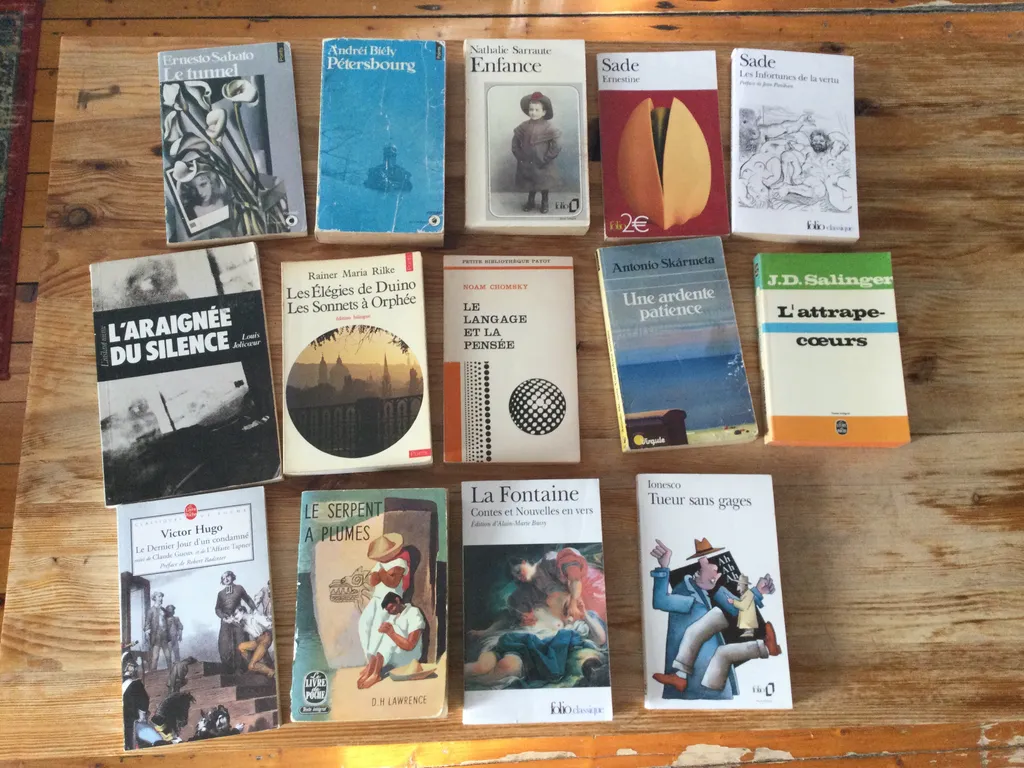 Littérature en français  photo 1