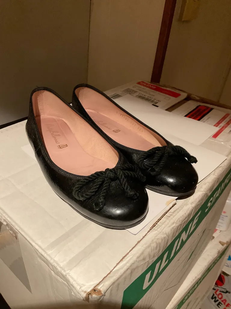 Ballerina Flats photo 1