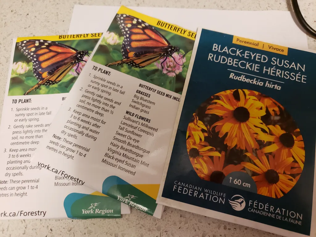 🌈Flower seeds🌈 photo 1