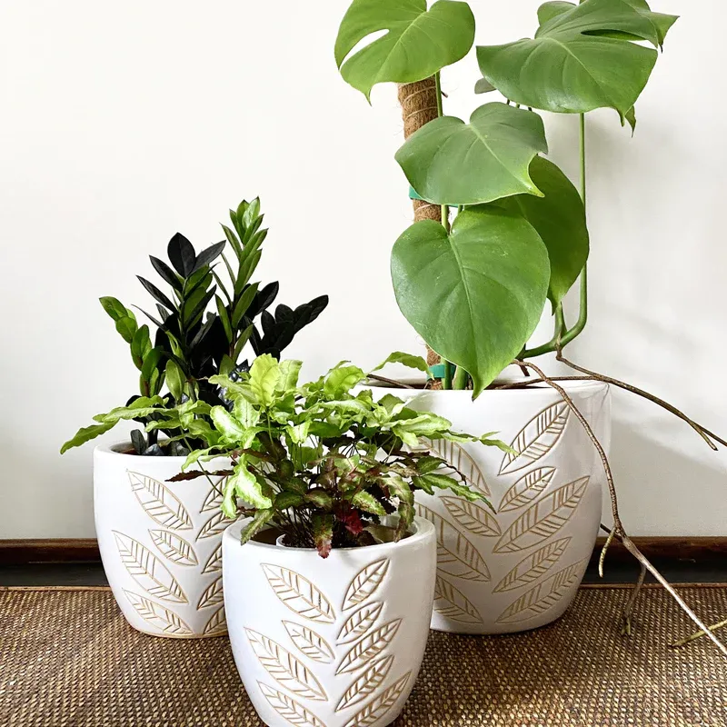 White, pastel and funky plant pots! photo 1