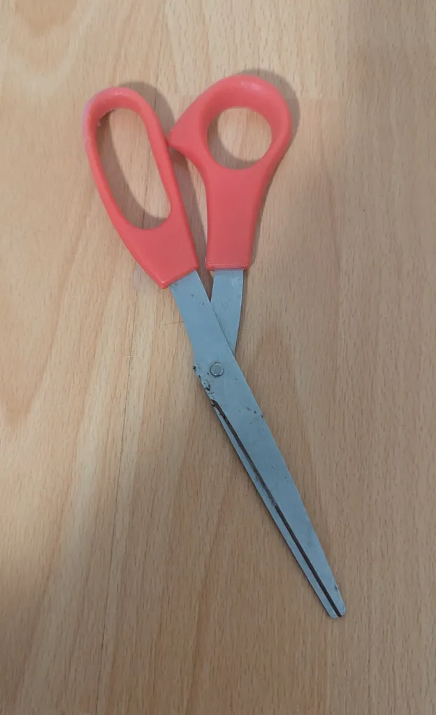 Red-handled Scissors photo 1