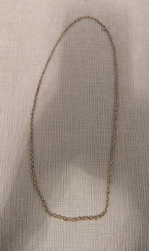 Gold Toned Chain Necklace  photo 1