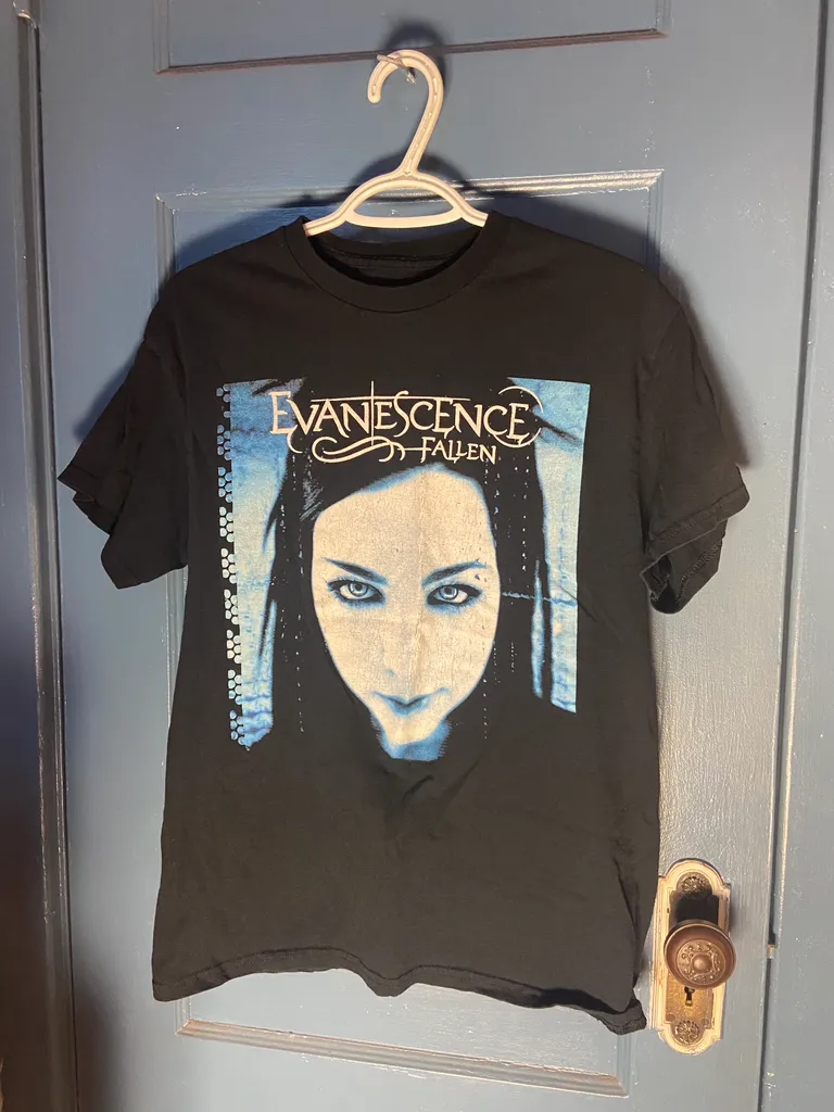 Evanescence shirt  photo 1