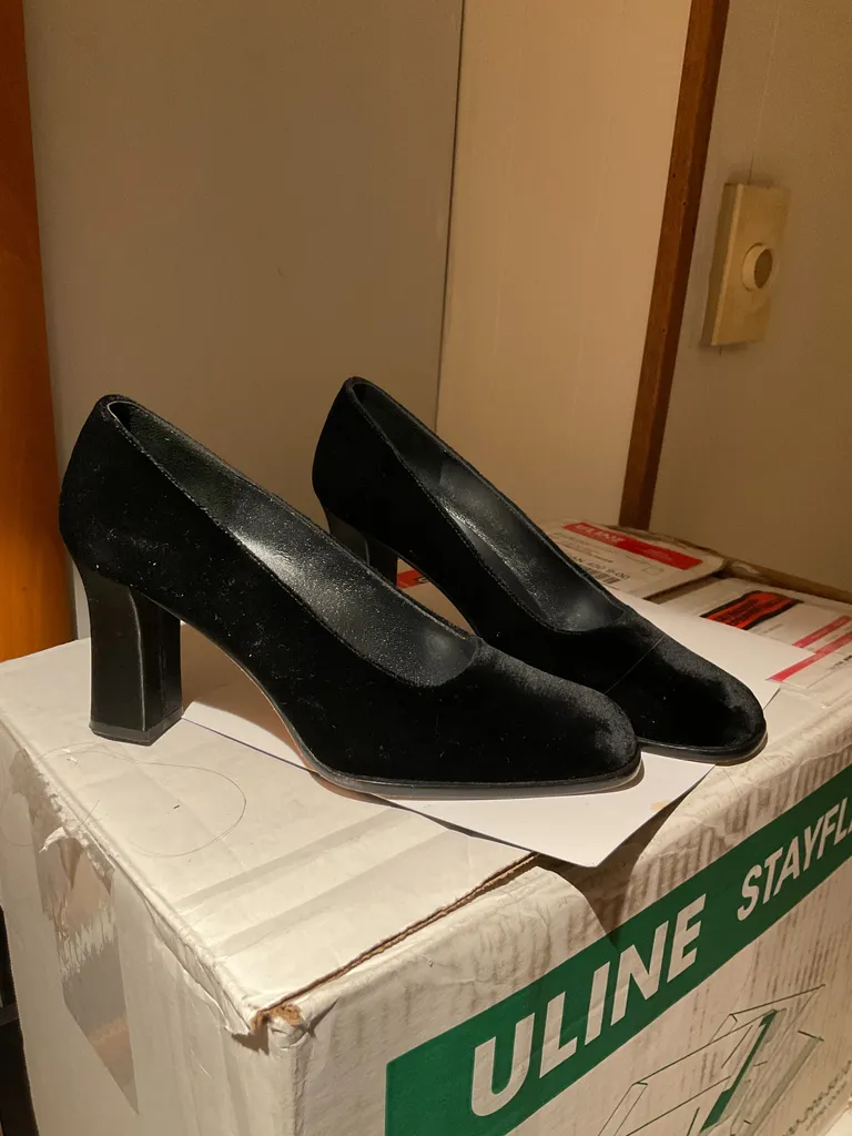 Browns Velvet Heels photo 1