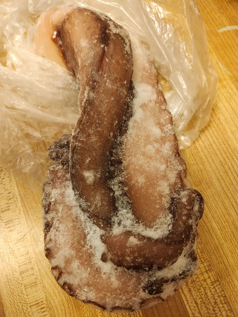 Frozen octopus photo 1