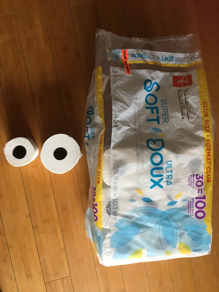 ISO toilet paper  photo 1