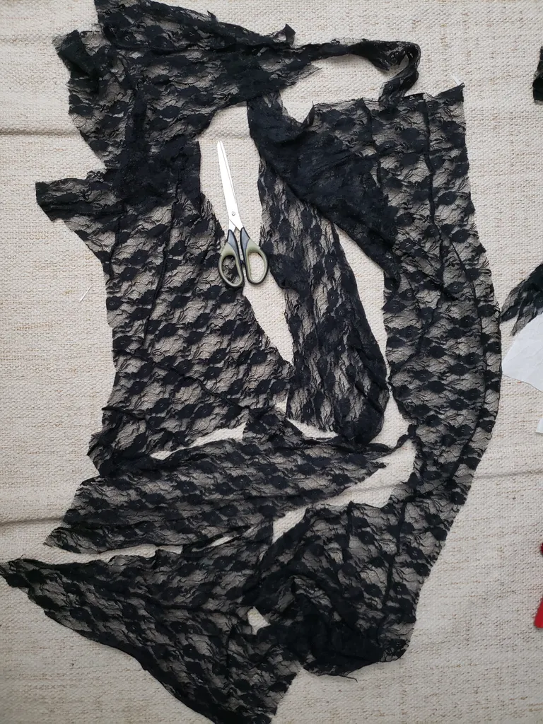 Free Fabric: black lace photo 1
