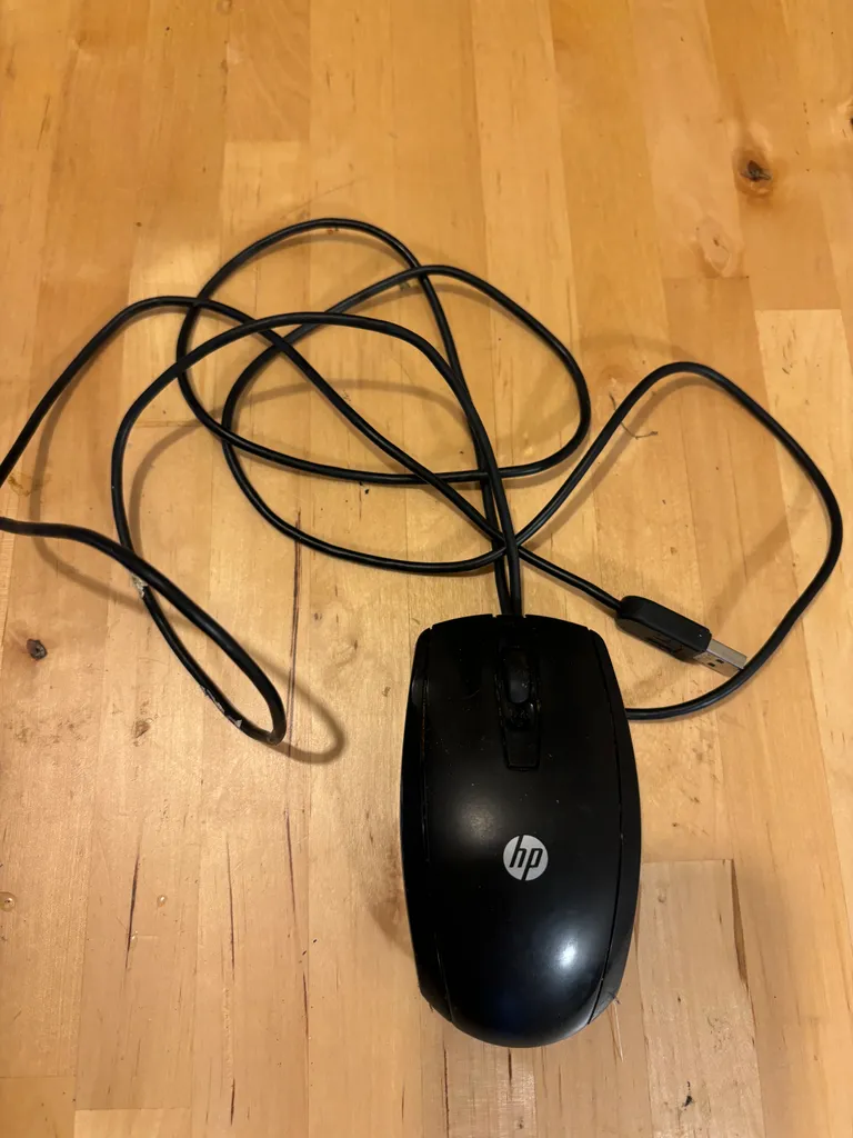 Computer mouse photo 1